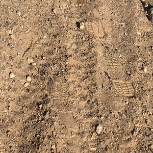 Meet your Posher, Reese